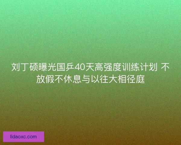 刘丁硕曝光国乒40天高强度训练计划 不放假不休息与以往大相径庭