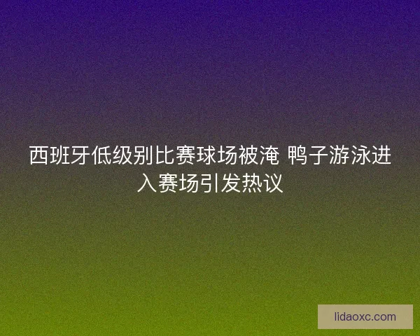 西班牙低级别比赛球场被淹 鸭子游泳进入赛场引发热议
