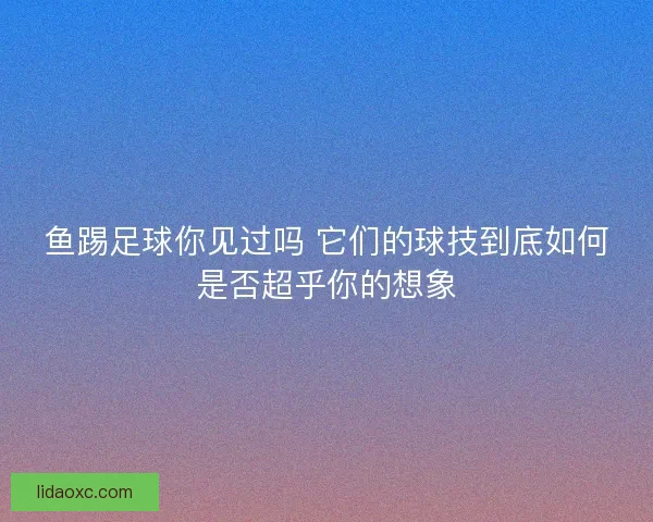 鱼踢足球你见过吗 它们的球技到底如何是否超乎你的想象